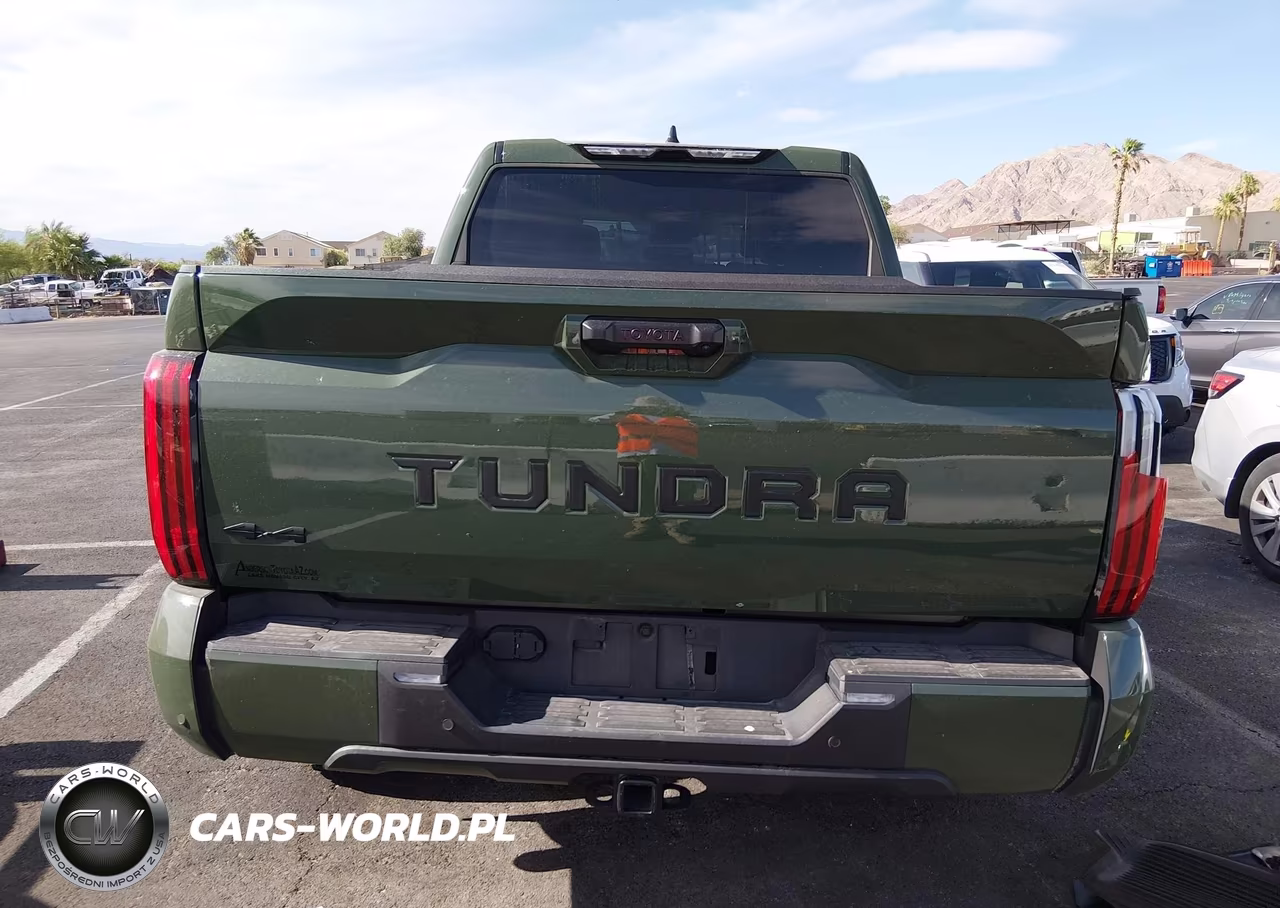 2022 Toyota Tundra Sr5 VIN:5TFLA5DB4NX008295 - 17
