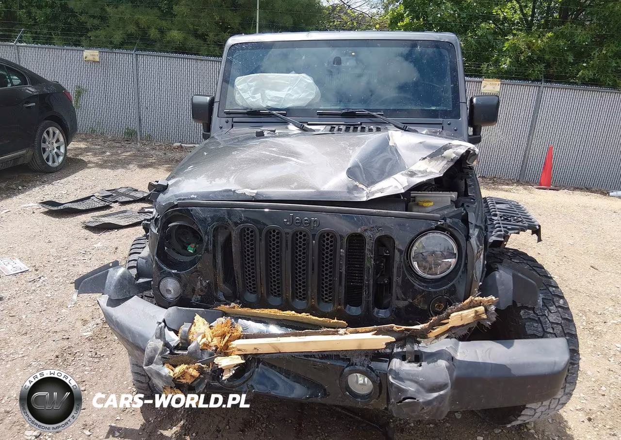 2018 Jeep Wrangler Jk Unlimited Willy Wheeler W 4X4 VIN:1C4BJWDG6JL869329 - 12
