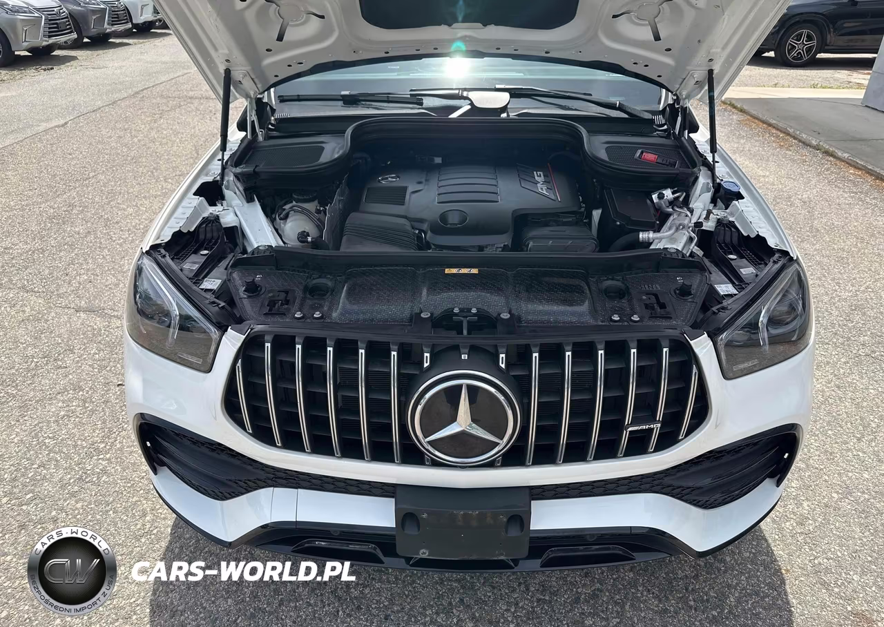 2023 Mercedes-Benz Gle Coupe Amg 53 4Matic VIN:4JGFD6BB6PA838100 - 10
