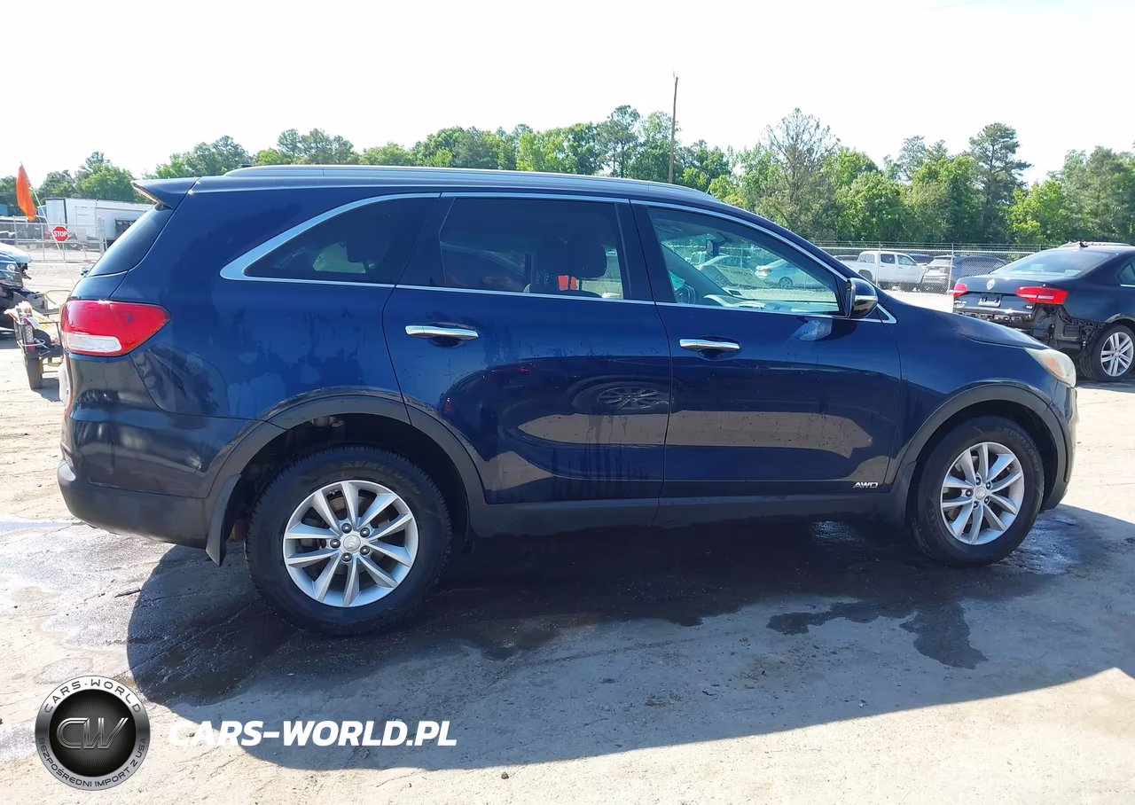 2018 Kia Sorento 2.4L Lx VIN:5XYPGDA33JG382319 - 13