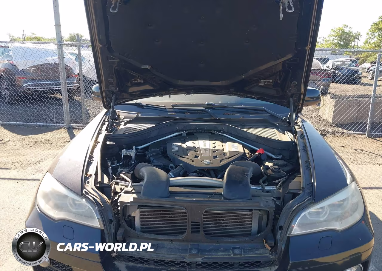 2013 BMW X6 xDrive50I VIN:5UXFG8C57DL591068 - 10