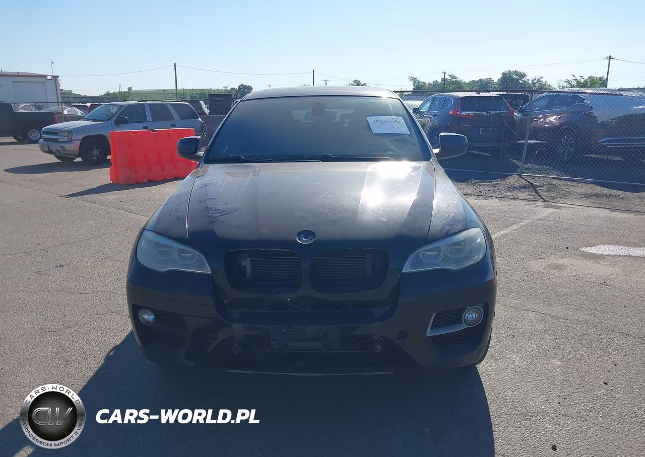 2013 BMW X6 xDrive50I VIN:5UXFG8C57DL591068 - 12