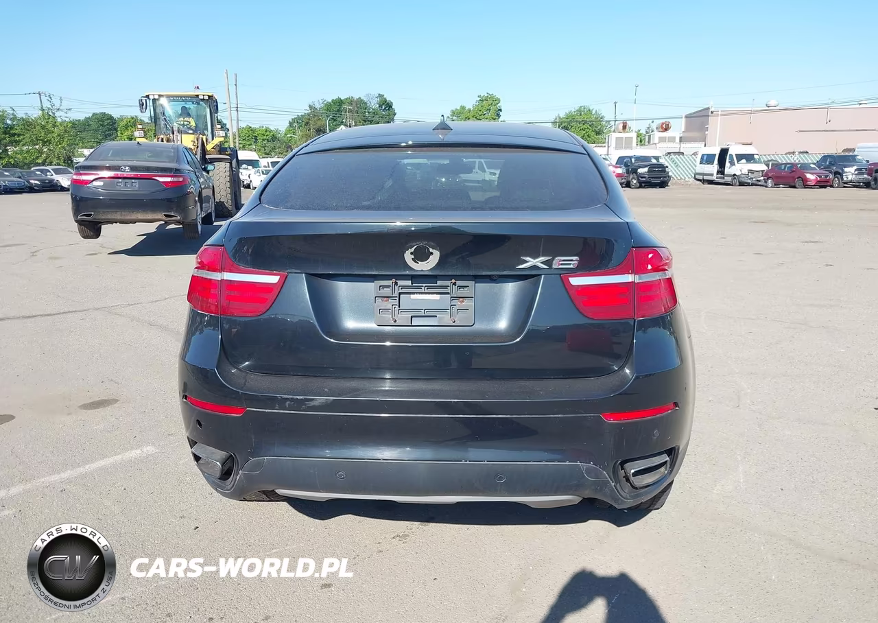 2013 BMW X6 xDrive50I VIN:5UXFG8C57DL591068 - 16