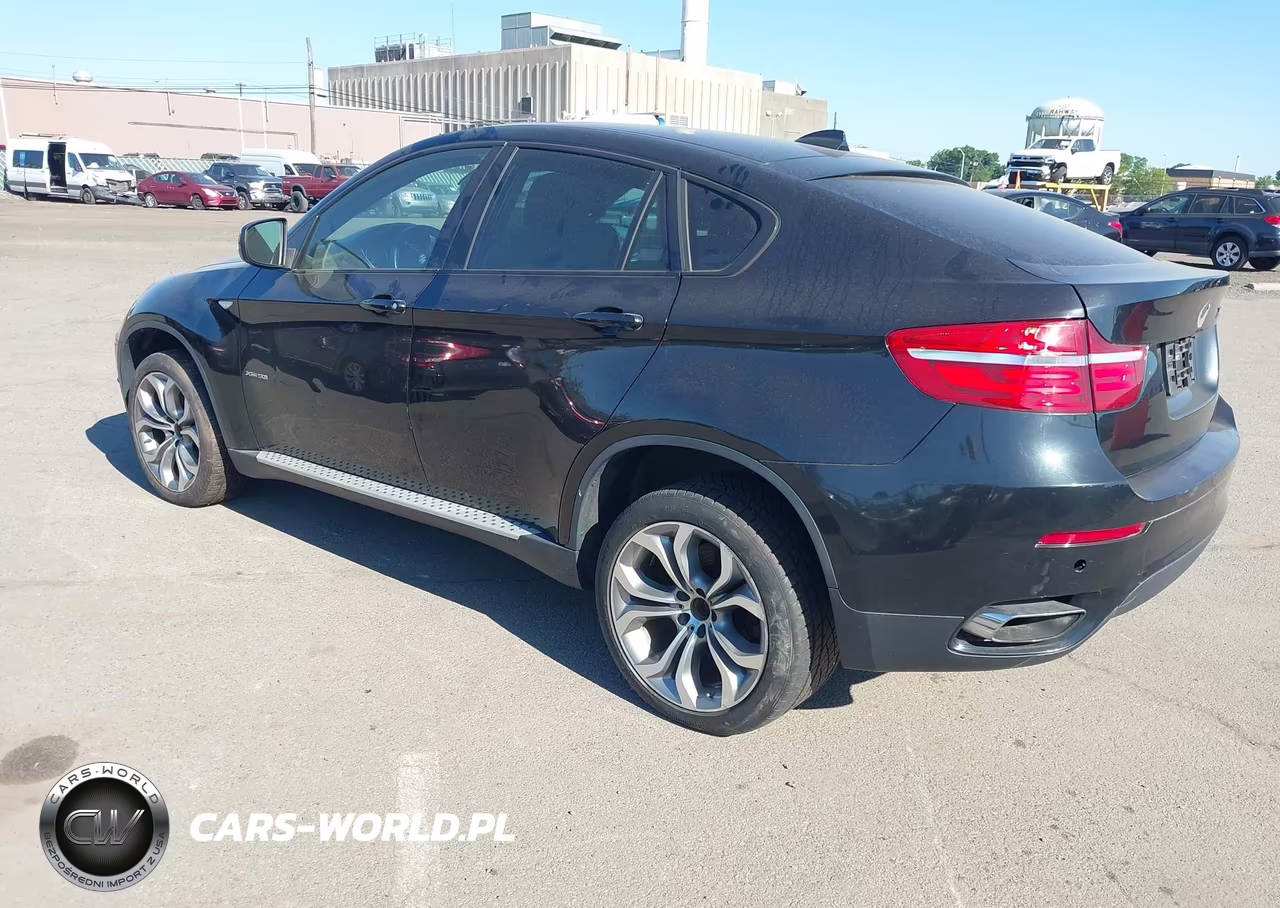2013 BMW X6 xDrive50I VIN:5UXFG8C57DL591068 - 3
