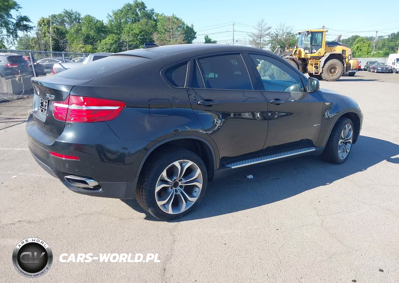2013 BMW X6 xDrive50I VIN:5UXFG8C57DL591068 - 4