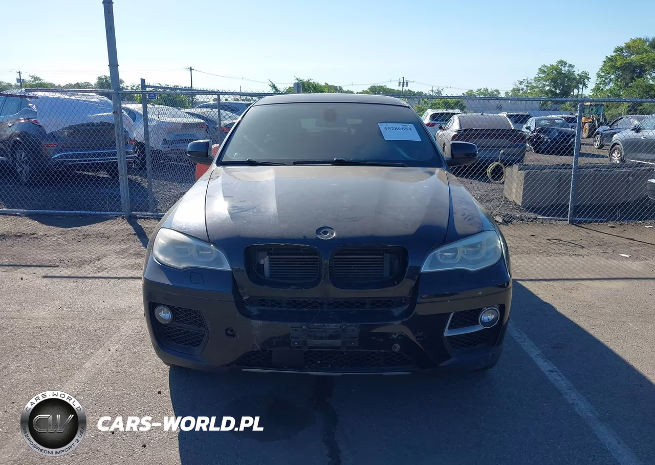 2013 BMW X6 xDrive50I VIN:5UXFG8C57DL591068 - 6