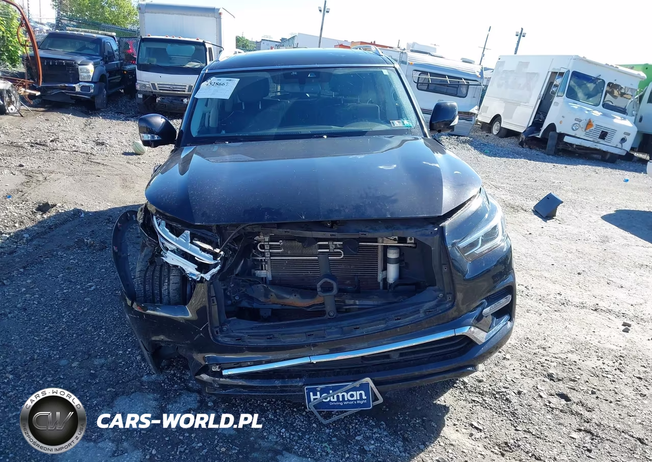 2019 Infiniti Qx80 Luxe VIN:JN8AZ2NE0K9226956 - 12