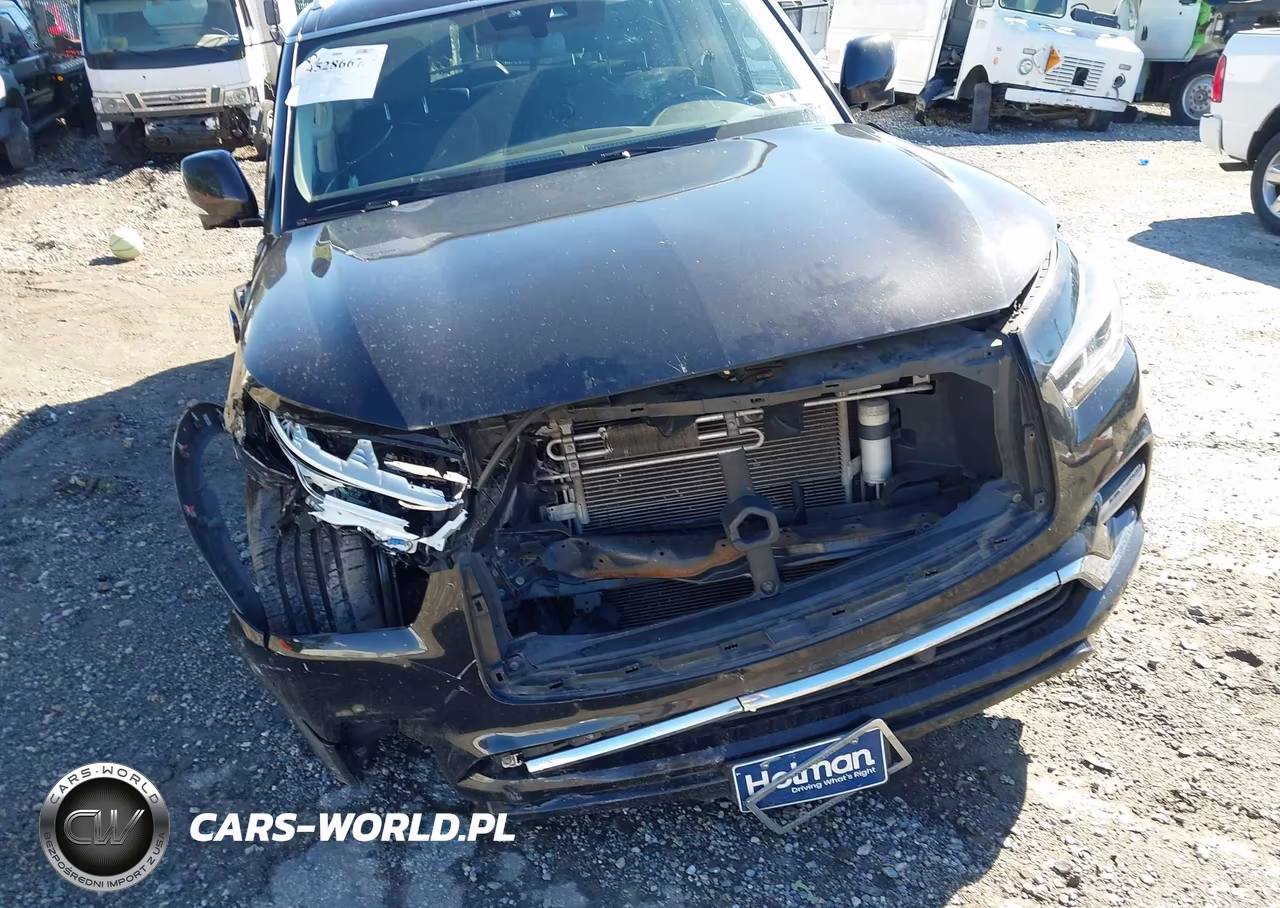 2019 Infiniti Qx80 Luxe VIN:JN8AZ2NE0K9226956 - 6