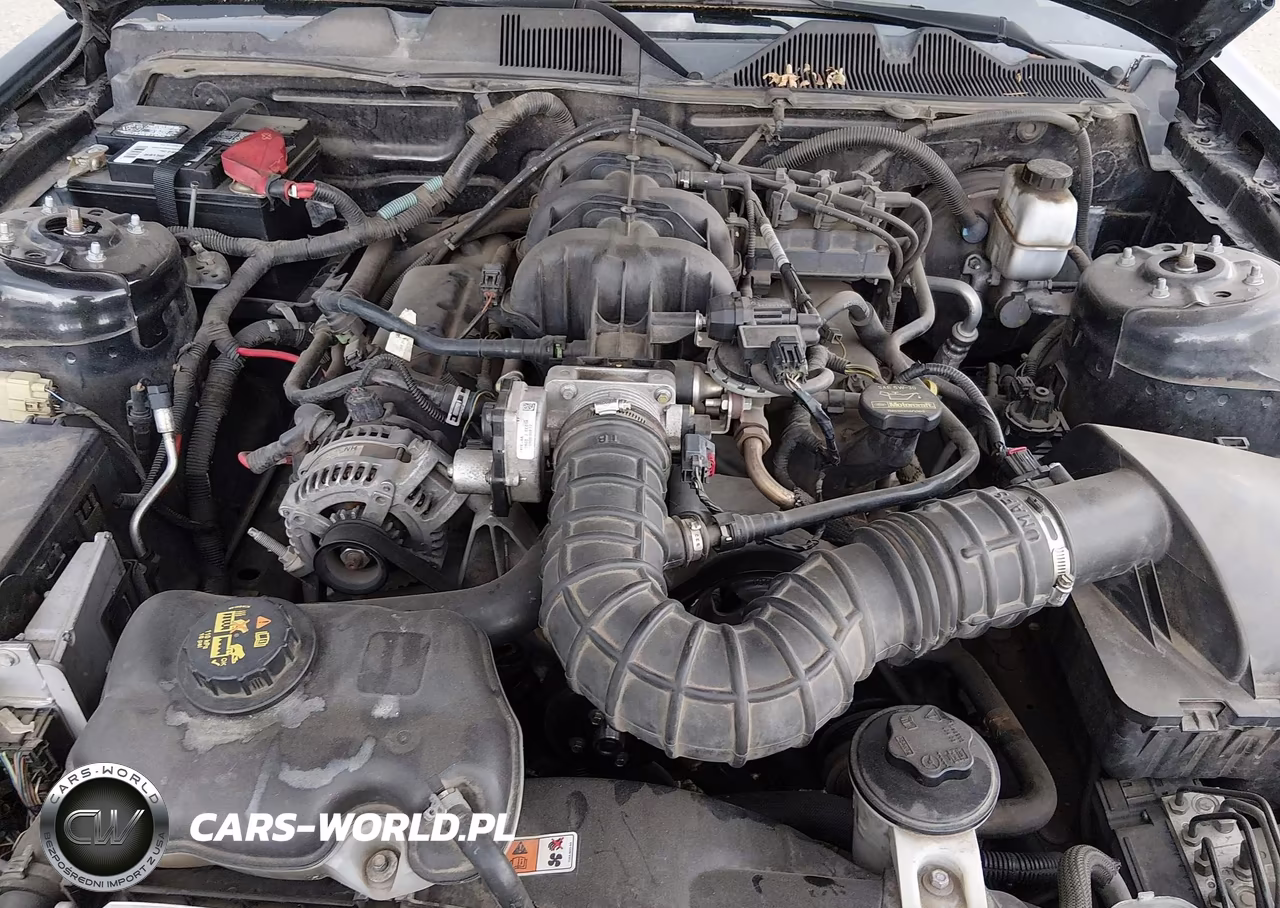 2010 Ford Mustang V6-V6 Premium VIN:1ZVBP8AN6A5143176 - 10