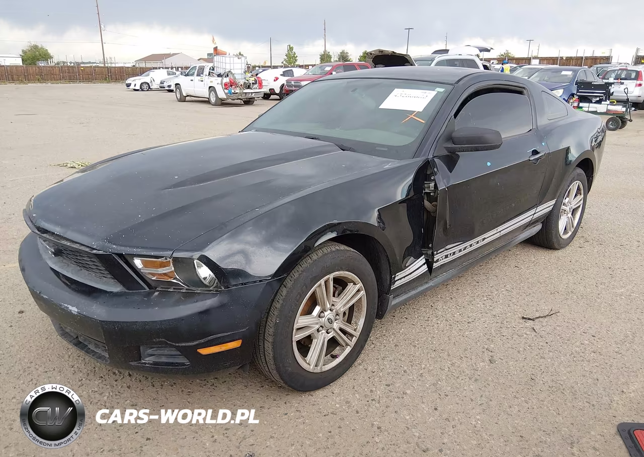 2010 Ford Mustang V6-V6 Premium VIN:1ZVBP8AN6A5143176 - 2