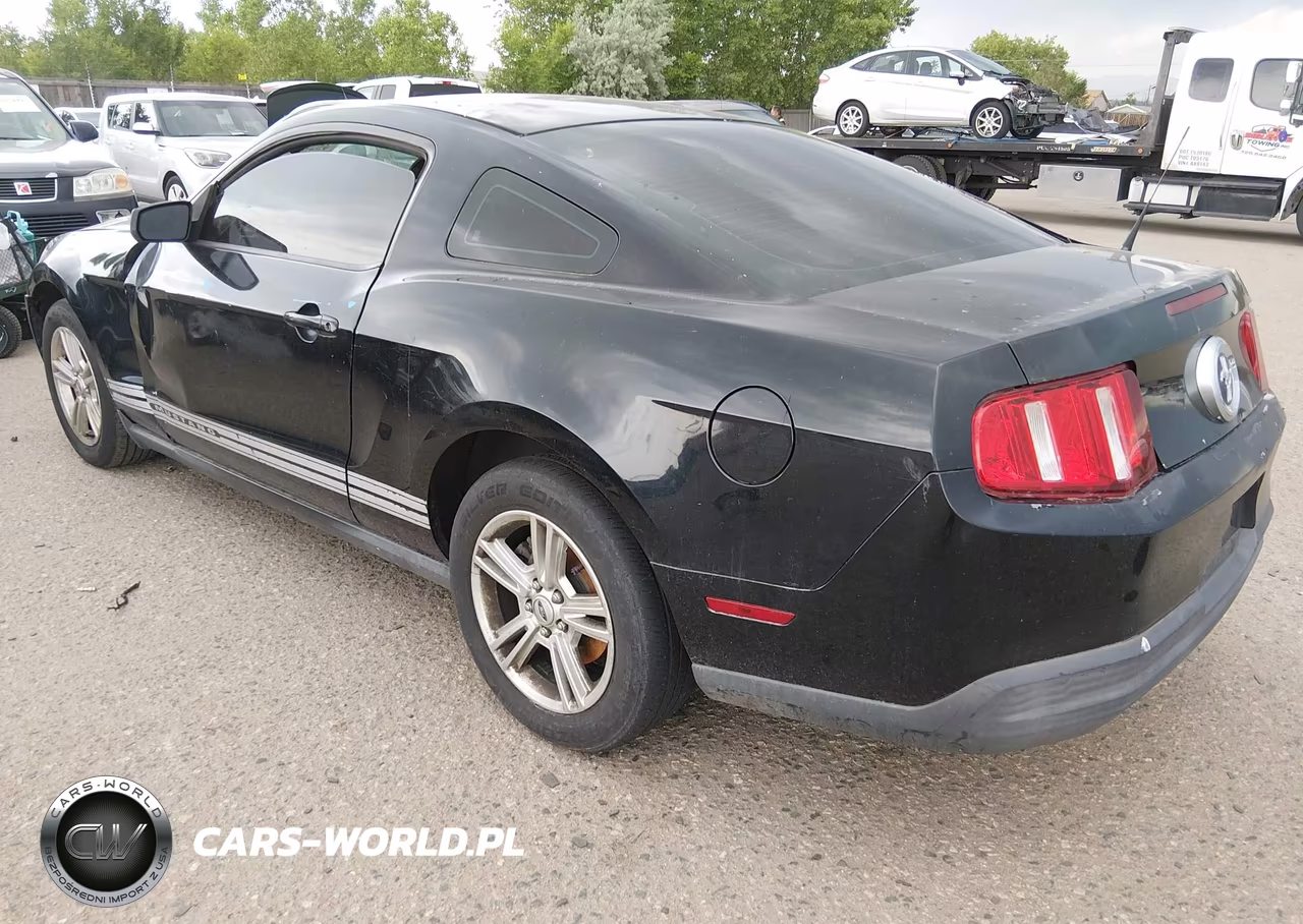 2010 Ford Mustang V6-V6 Premium VIN:1ZVBP8AN6A5143176 - 3