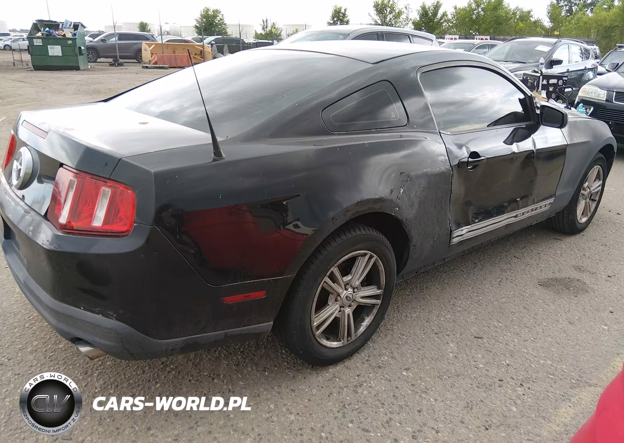 2010 Ford Mustang V6-V6 Premium VIN:1ZVBP8AN6A5143176 - 4