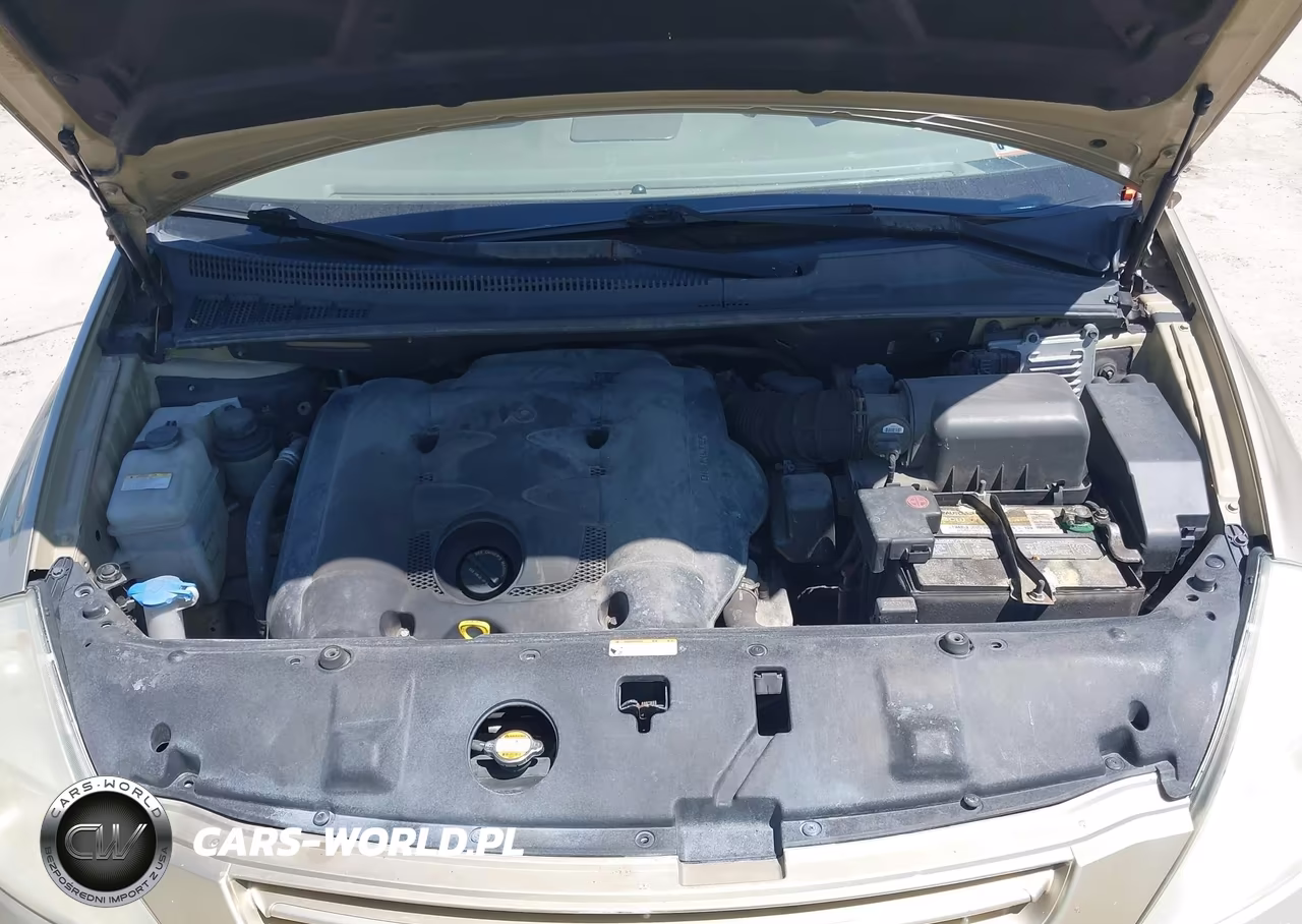 2008 Kia Sedona Lx VIN:KNDMB233786262538 - 10