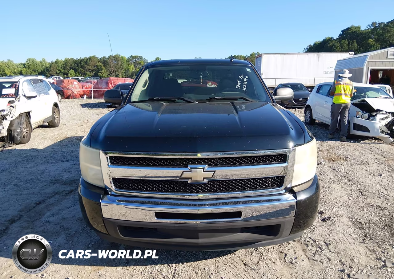 2010 Chevrolet Silverado 1500 Ls VIN:3GCRCREA9AG145183 - 13