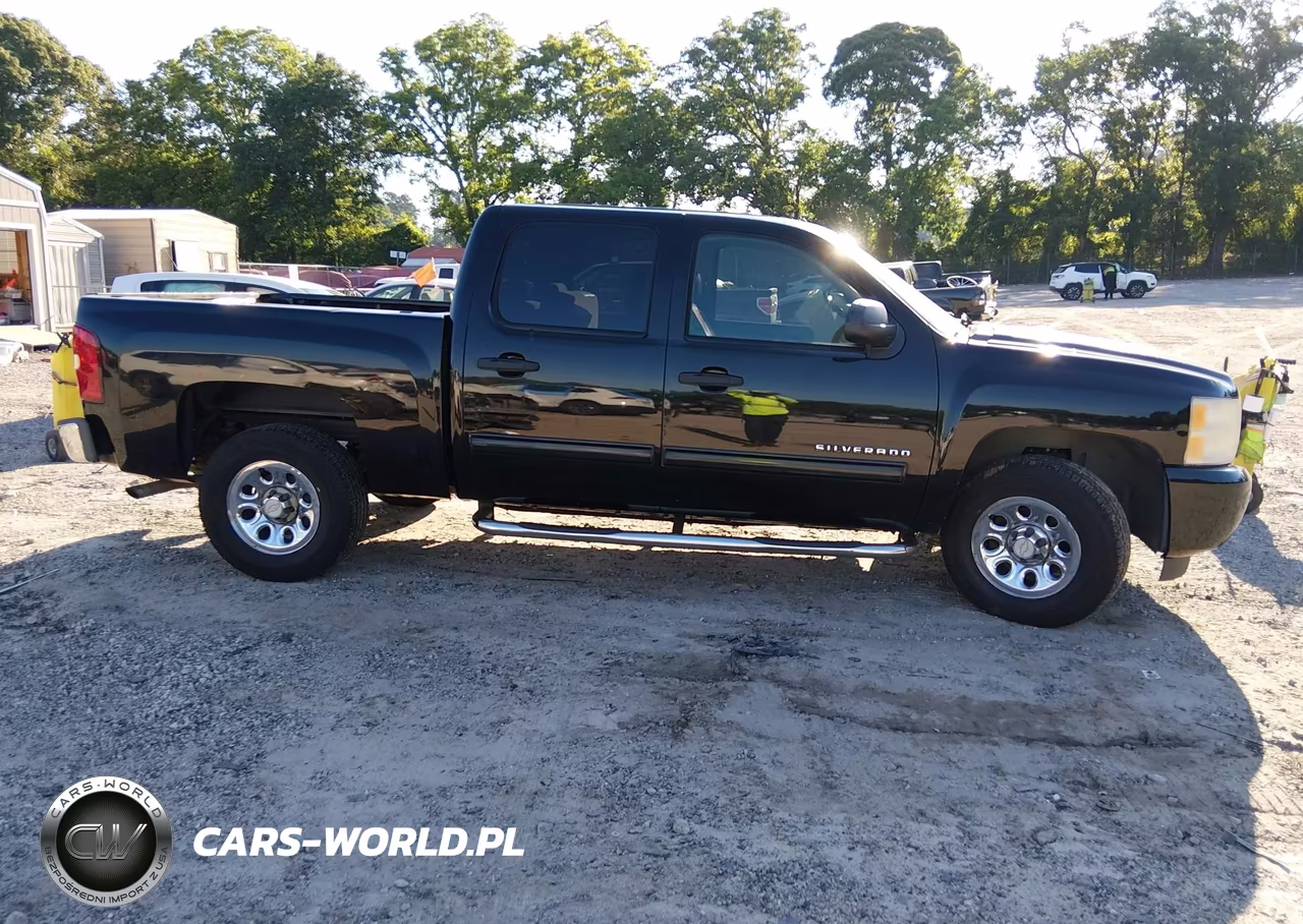 2010 Chevrolet Silverado 1500 Ls VIN:3GCRCREA9AG145183 - 14