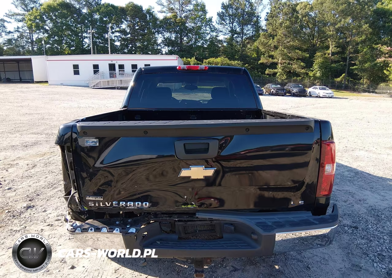 2010 Chevrolet Silverado 1500 Ls VIN:3GCRCREA9AG145183 - 17