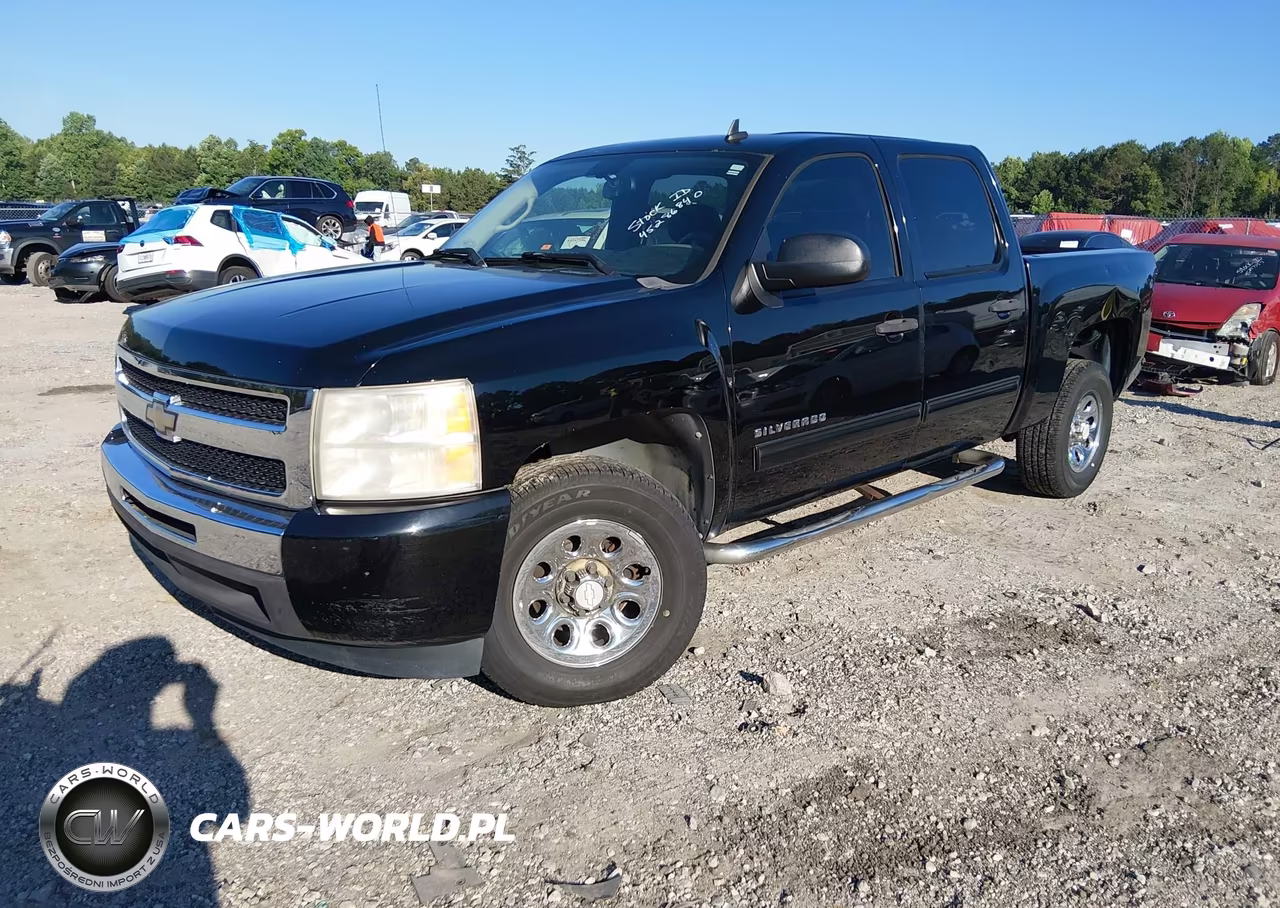 2010 Chevrolet Silverado 1500 Ls VIN:3GCRCREA9AG145183 - 2