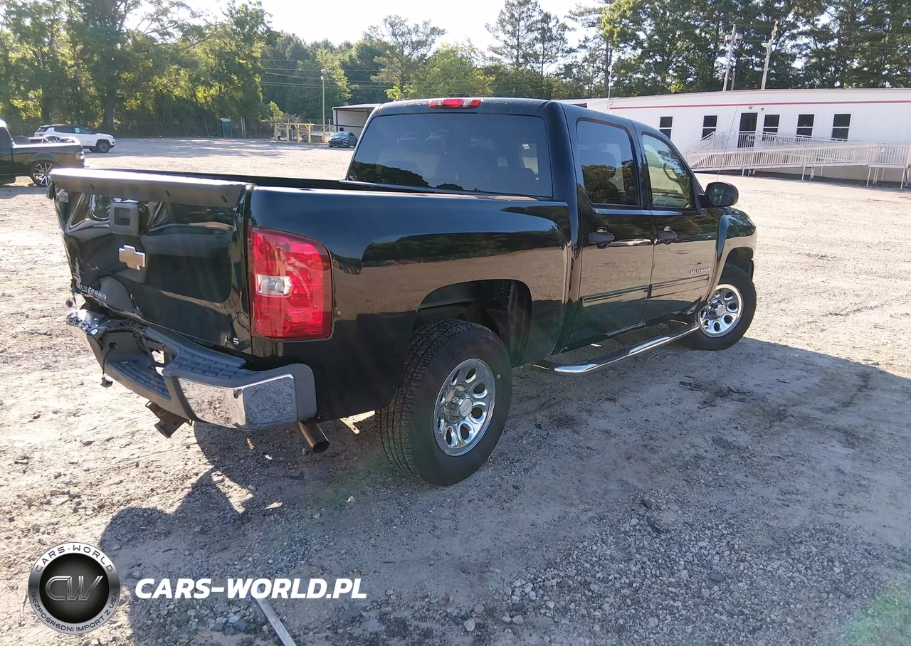 2010 Chevrolet Silverado 1500 Ls VIN:3GCRCREA9AG145183 - 4