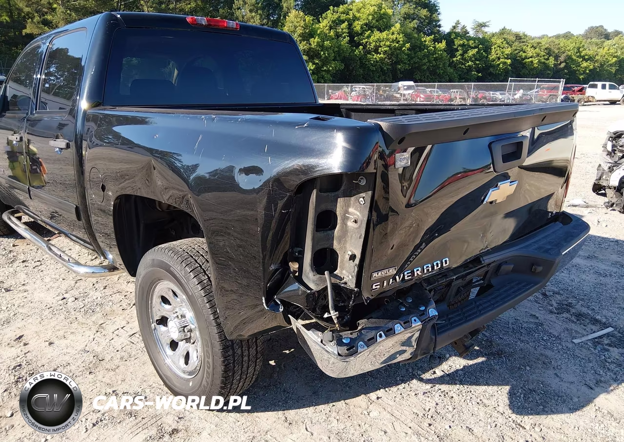 2010 Chevrolet Silverado 1500 Ls VIN:3GCRCREA9AG145183 - 6