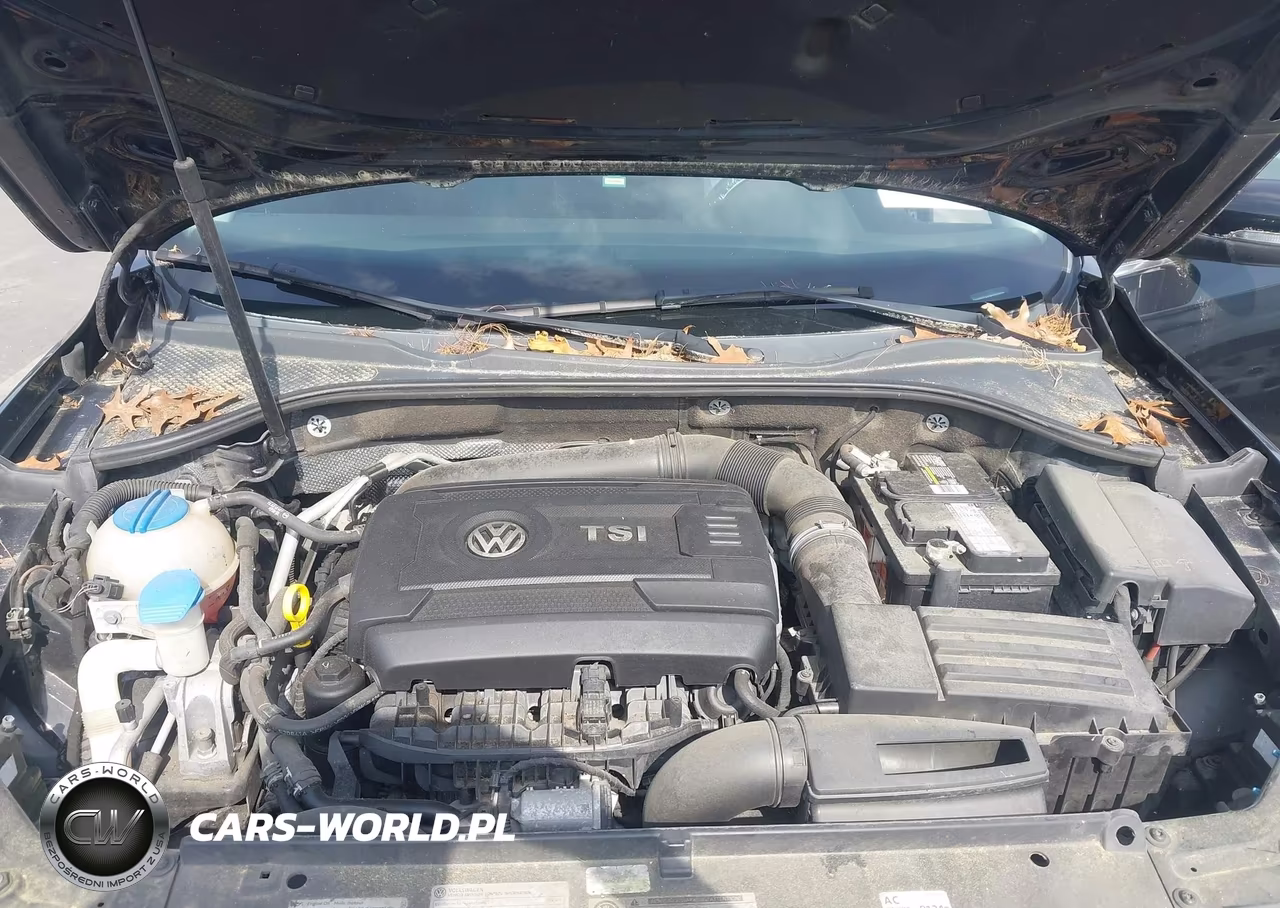 2014 Volkswagen Passat 1.8T Se VIN:1VWBS7A33EC065559 - 10