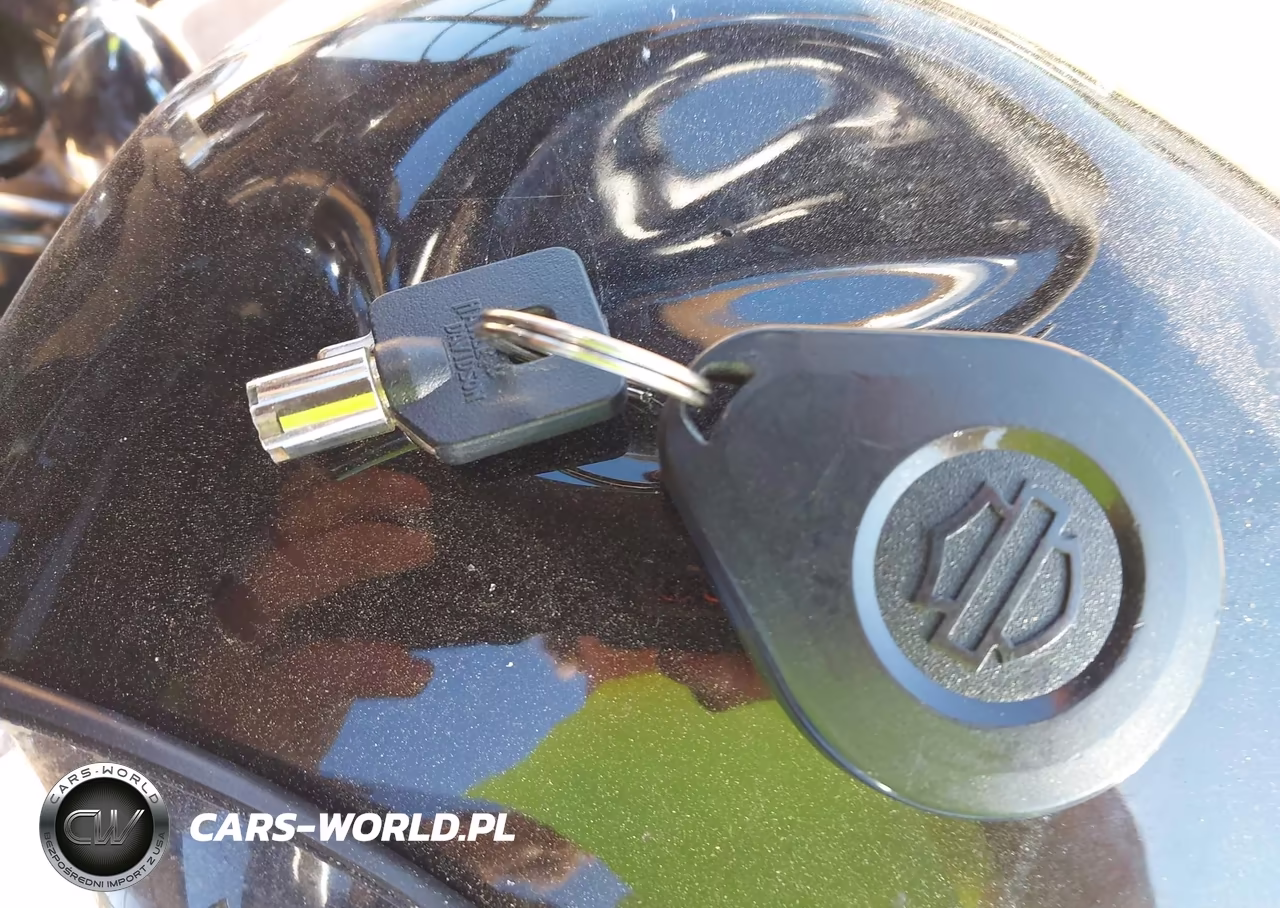 2023 Harley-Davidson Flhtk VIN:1HD1KEF18PB603870 - 11