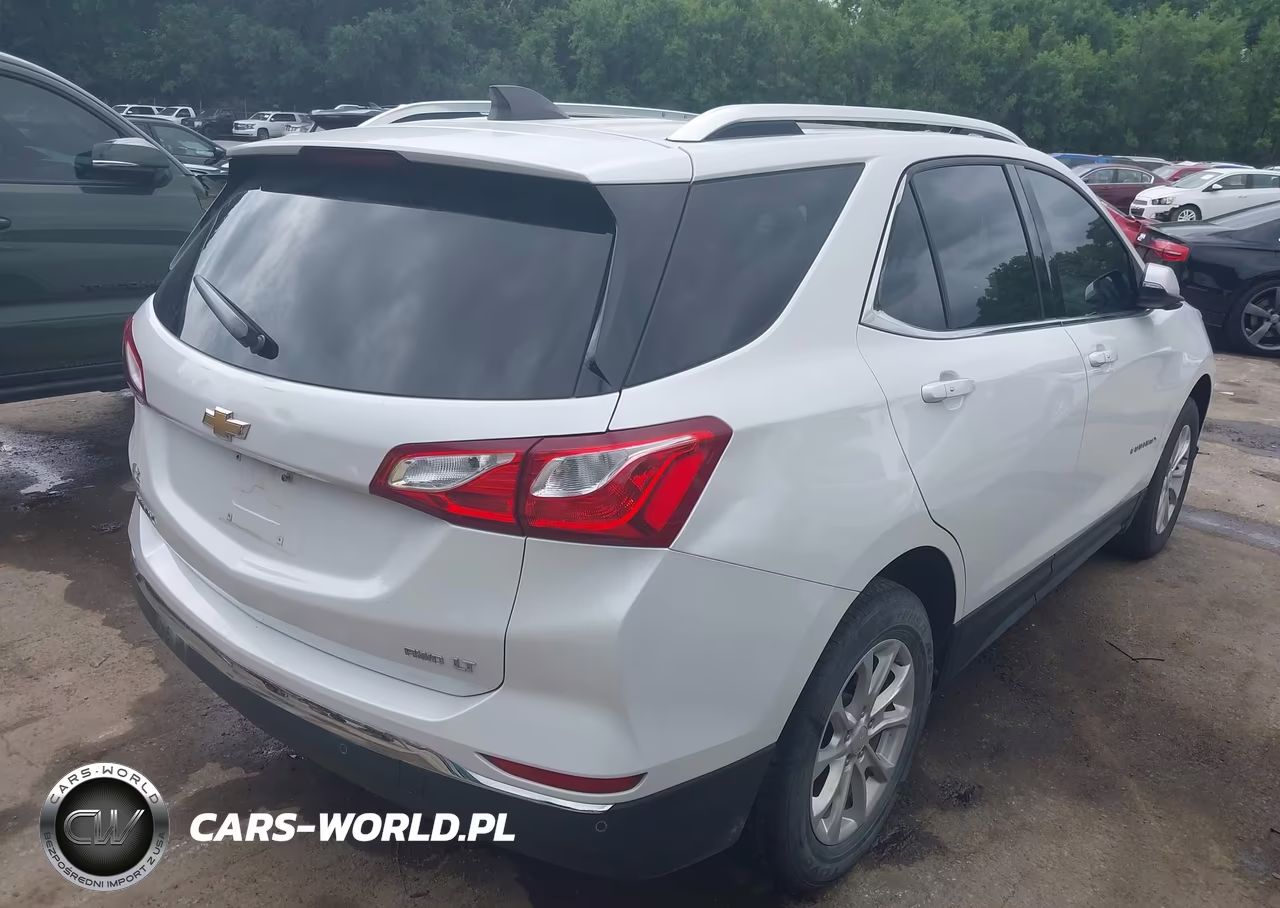 2018 Chevrolet Equinox Lt VIN:2GNAXSEV8J6273669 - 4