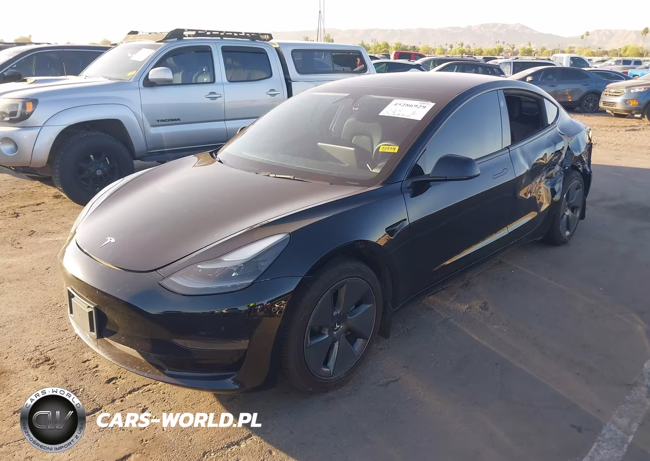 2022 Tesla Model 3 Rear-Wheel Drive VIN:5YJ3E1EA9NF373097 - 2