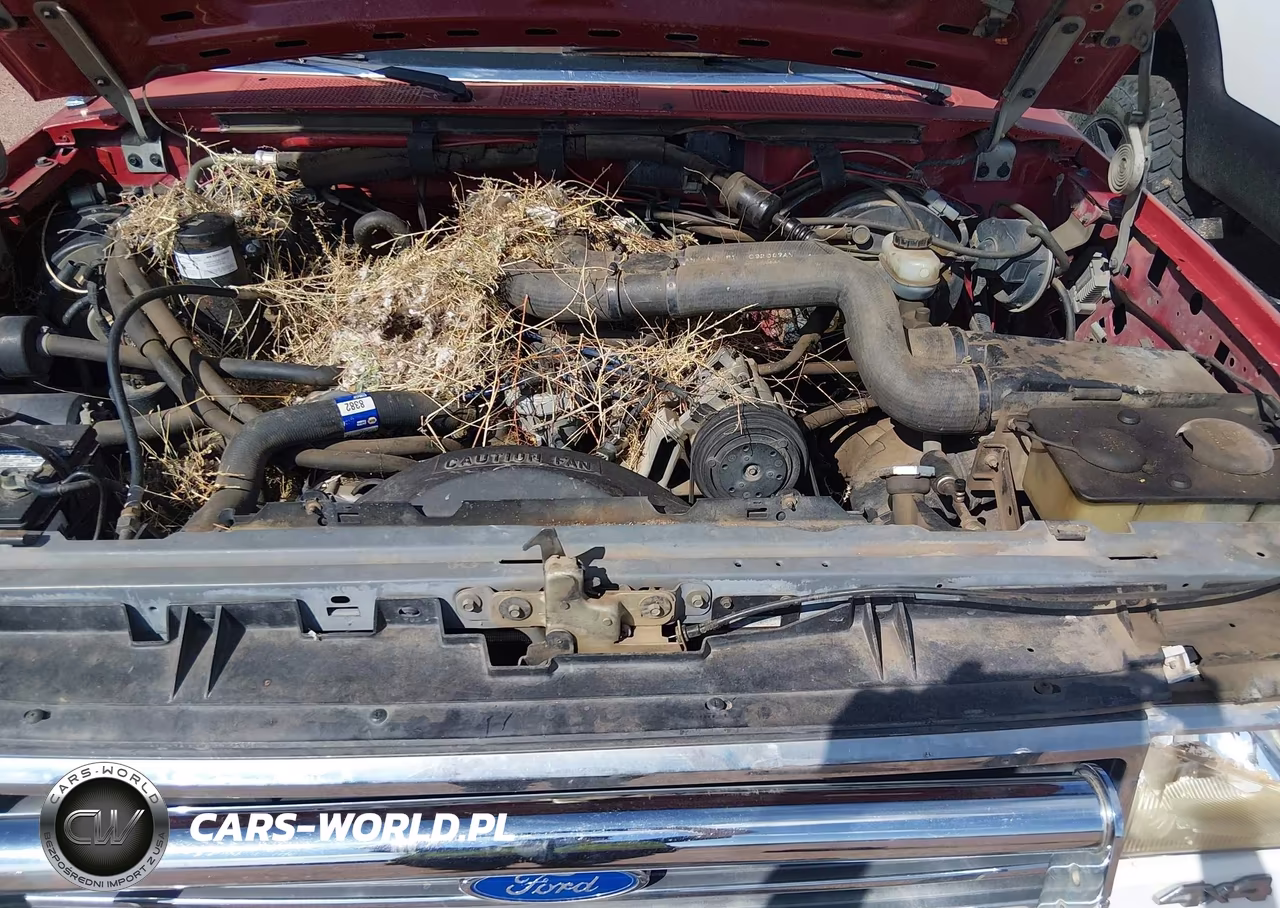 1990 Ford F250 VIN:1FTHX26G1LKA23584 - 10