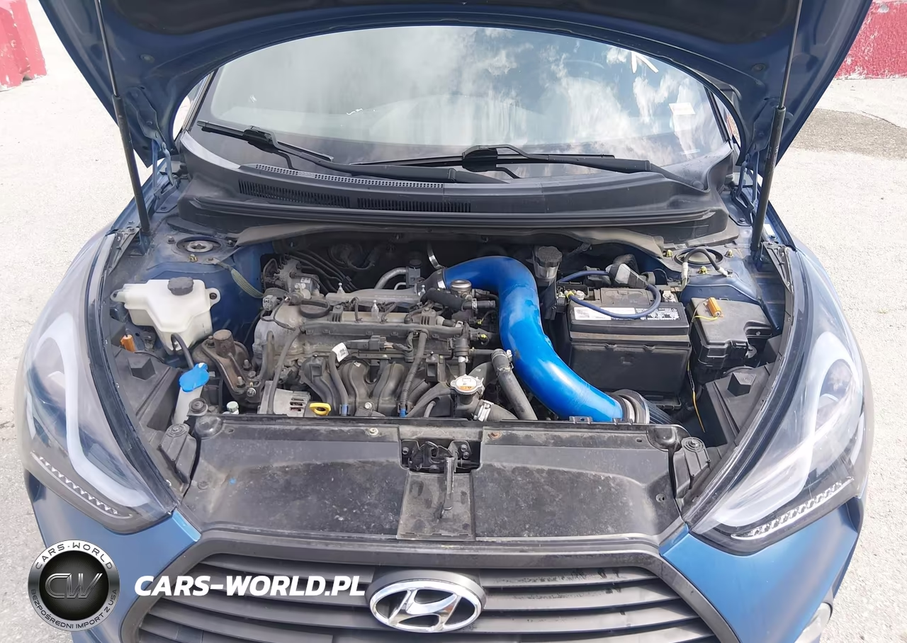 2016 Hyundai Veloster Turbo Rally Edition VIN:KMHTC6AE8GU264616 - 10