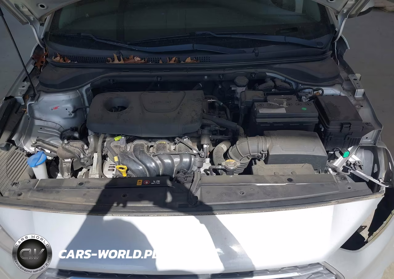 2019 Hyundai Accent Se VIN:3KPC24A30KE044131 - 10