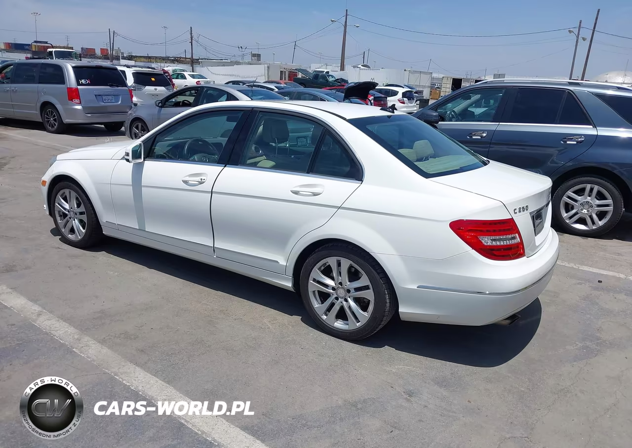 2014 Mercedes-Benz C 250 Luxury VIN:WDDGF4HB4EA928766 - 3