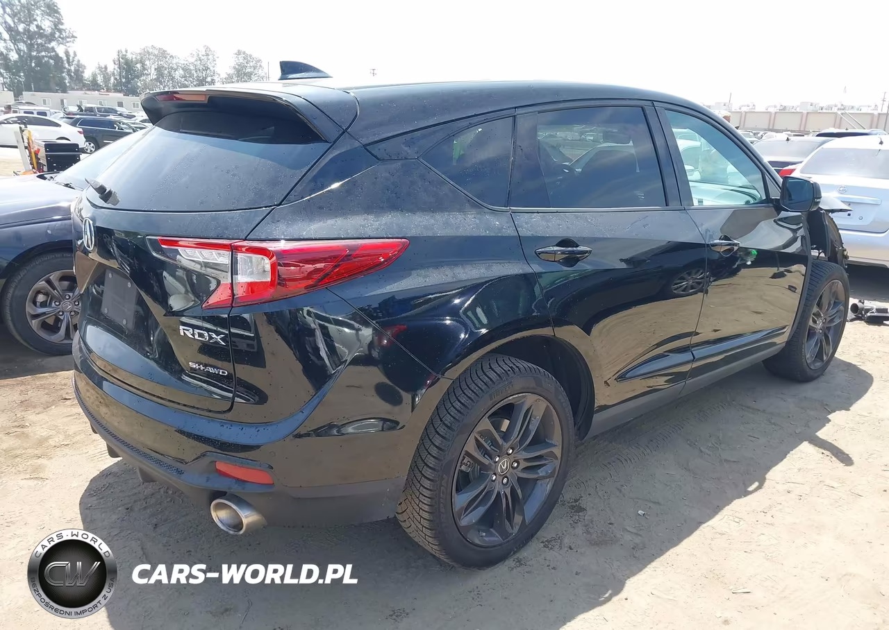 2019 Acura Rdx A-Spec Package VIN:5J8TC2H65KL022250 - 4
