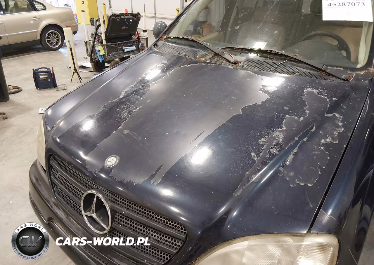 1999 Mercedes-Benz Ml 320 VIN:4JGAB54E2XA132551 - 6