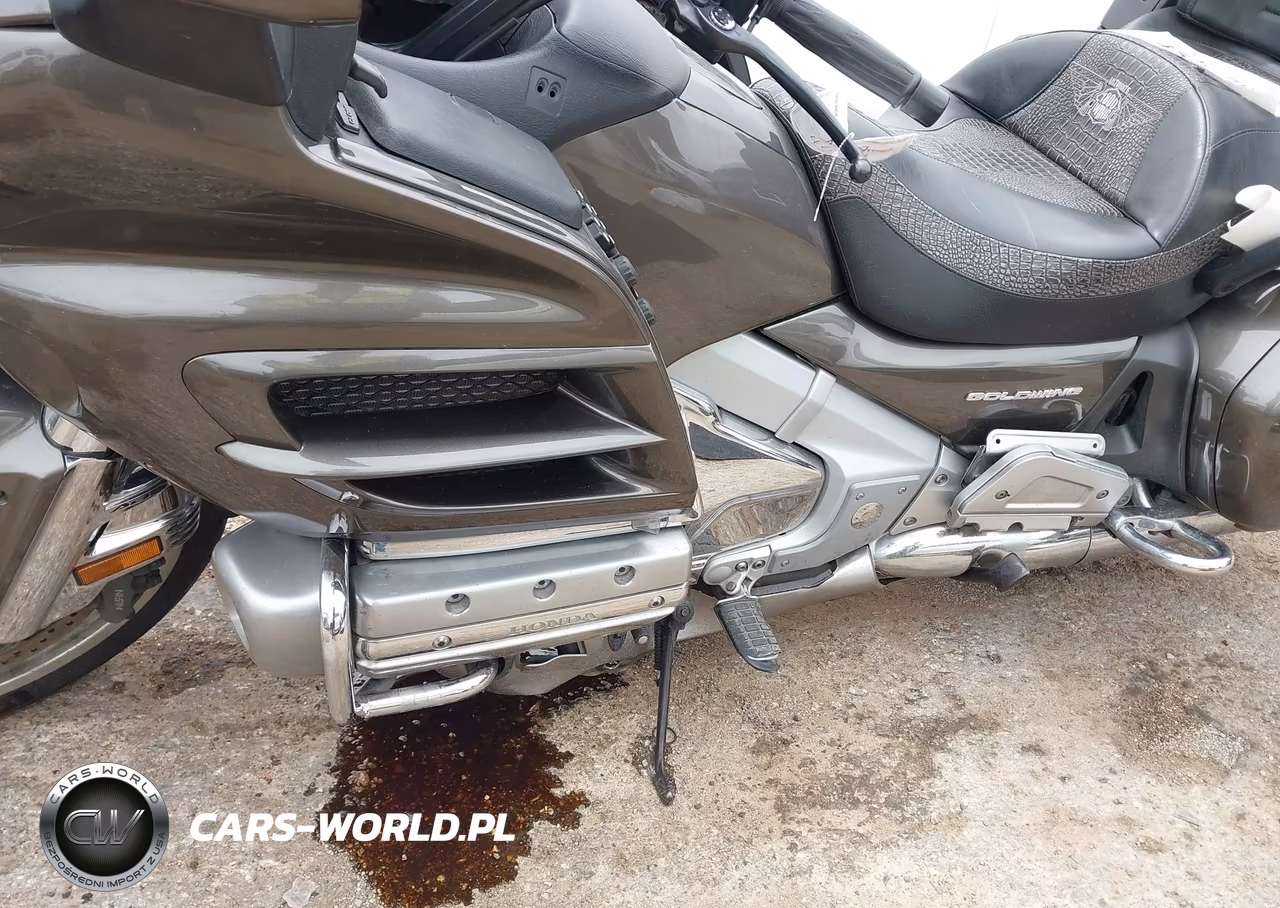 2010 Honda Gl1800 VIN:1HFSC47M9AA905323 - 9