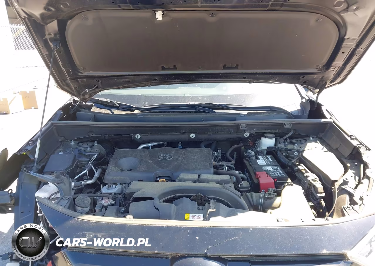2021 Toyota Rav4 Xle VIN:2T3W1RFVXMC159965 - 10