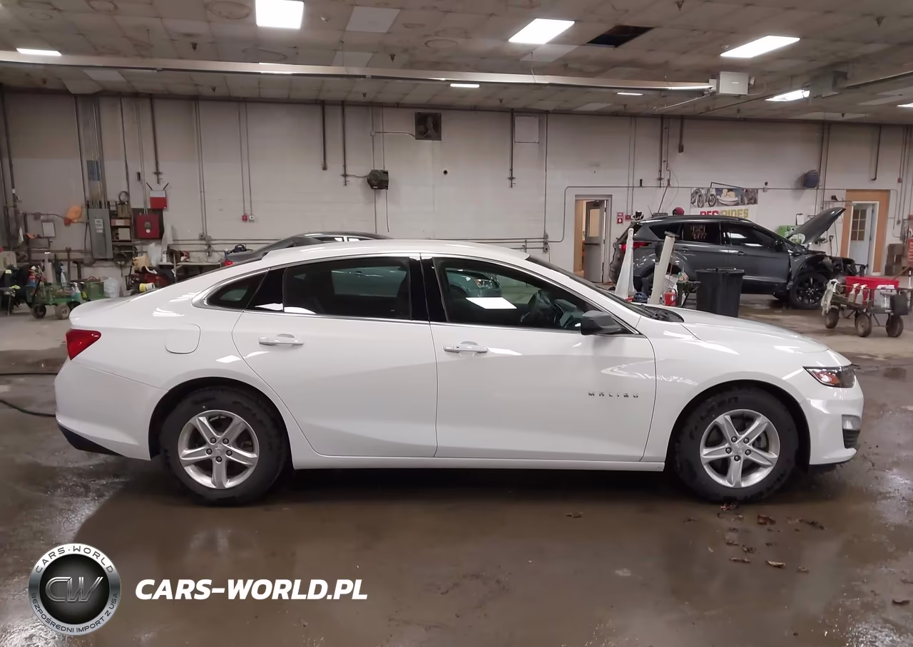 2020 Chevrolet Malibu Fwd 1Fl VIN:1G1ZC5ST4LF139075 - 13