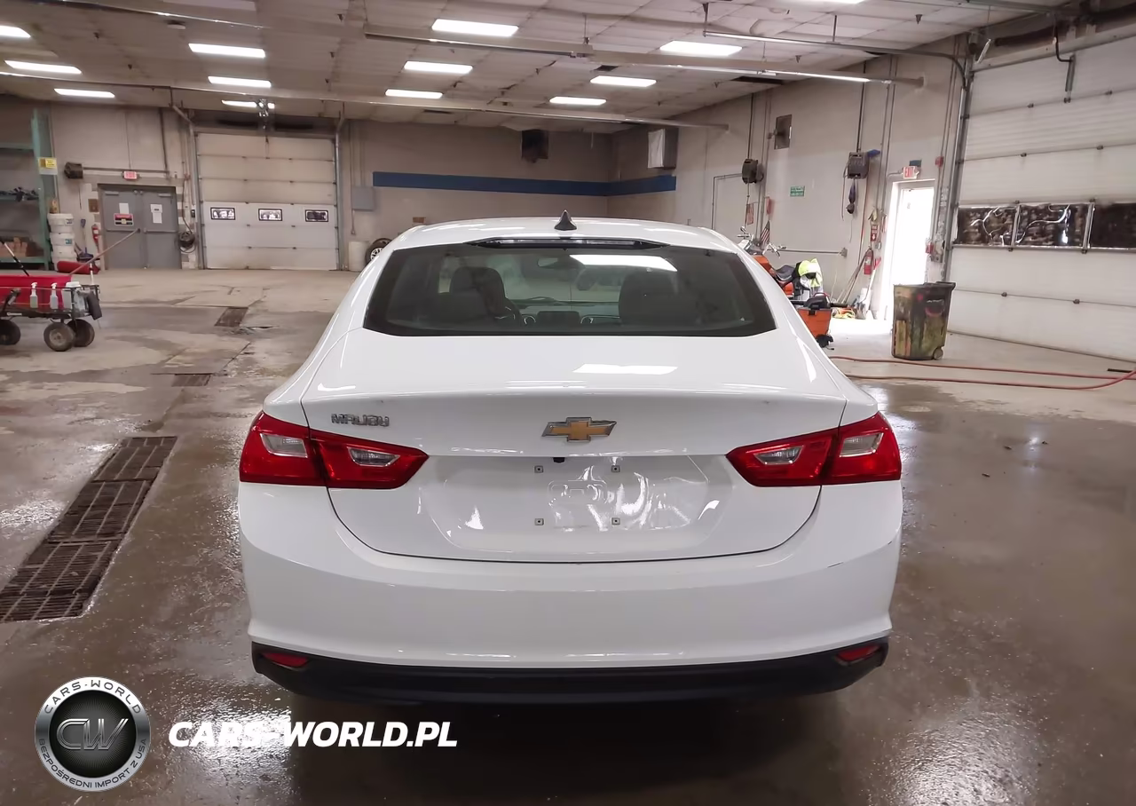 2020 Chevrolet Malibu Fwd 1Fl VIN:1G1ZC5ST4LF139075 - 16