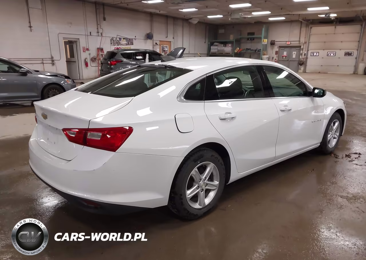 2020 Chevrolet Malibu Fwd 1Fl VIN:1G1ZC5ST4LF139075 - 4