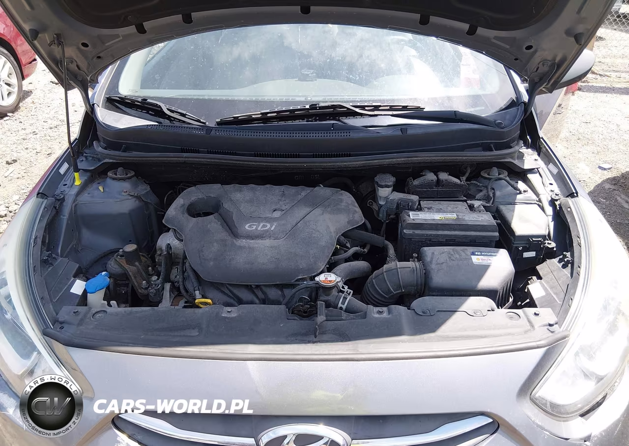 2016 Hyundai Accent Se VIN:KMHCT4AE8GU073556 - 10