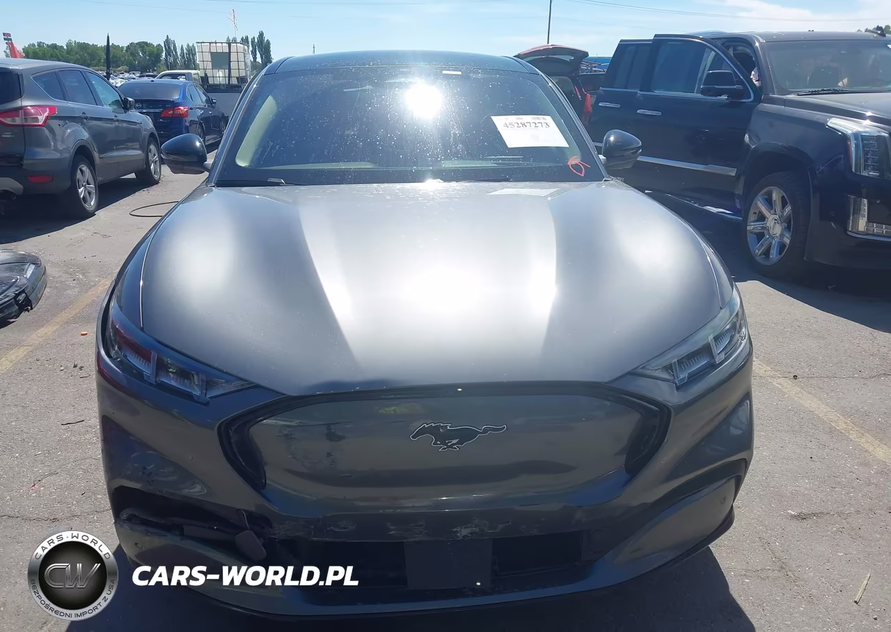 2023 Ford Mustang Mach-E Premium VIN:3FMTK3SU7PMA56464 - 12