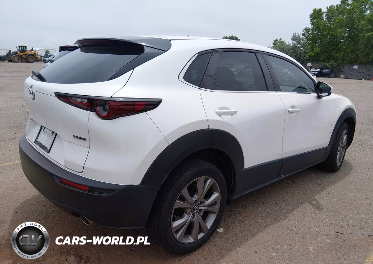 2020 Mazda Cx-30 Select Package VIN:3MVDMBCL0LM112806 - 4