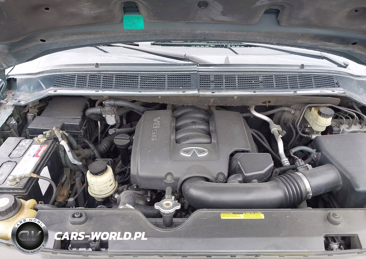 2004 Infiniti Qx56 VIN:5N3AA08C54N811174 - 10