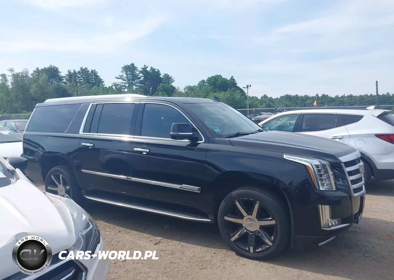2016 Cadillac Escalade Esv Luxury Collection VIN:1GYS4HKJ1GR203710 - 13