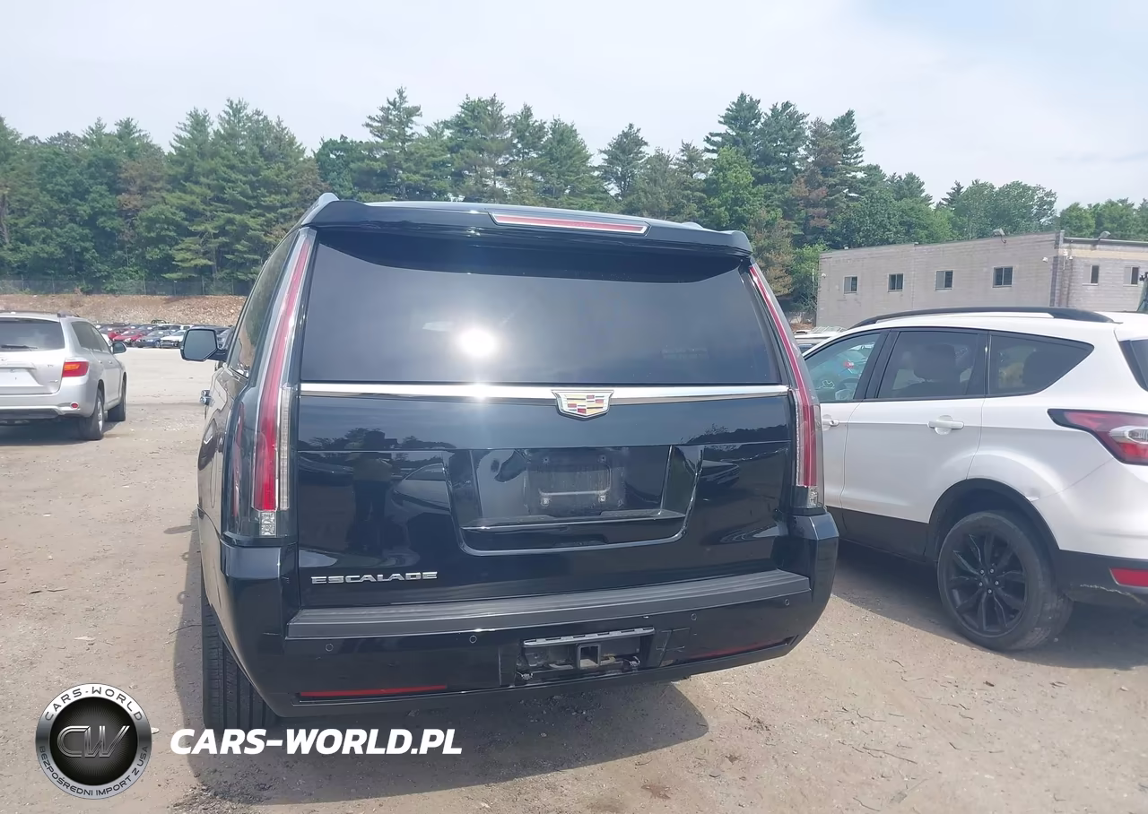 2016 Cadillac Escalade Esv Luxury Collection VIN:1GYS4HKJ1GR203710 - 16