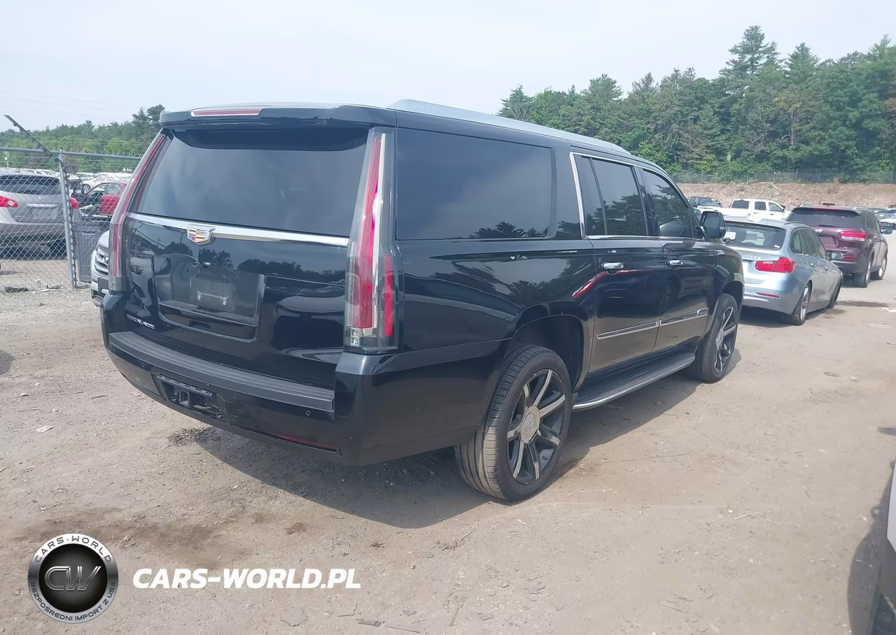 2016 Cadillac Escalade Esv Luxury Collection VIN:1GYS4HKJ1GR203710 - 4