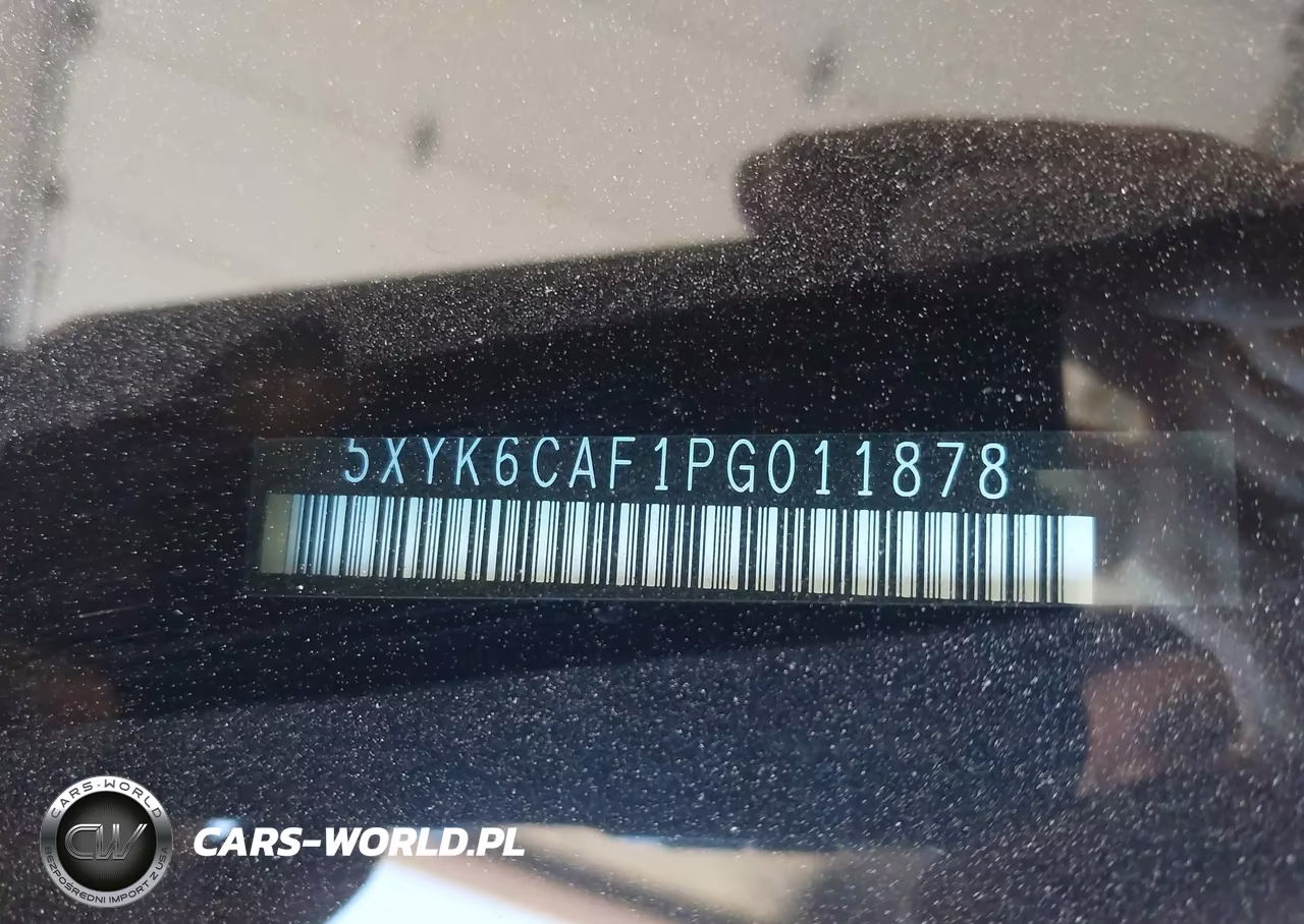 2023 Kia Sportage X-Line VIN:5XYK6CAF1PG011878 - 9