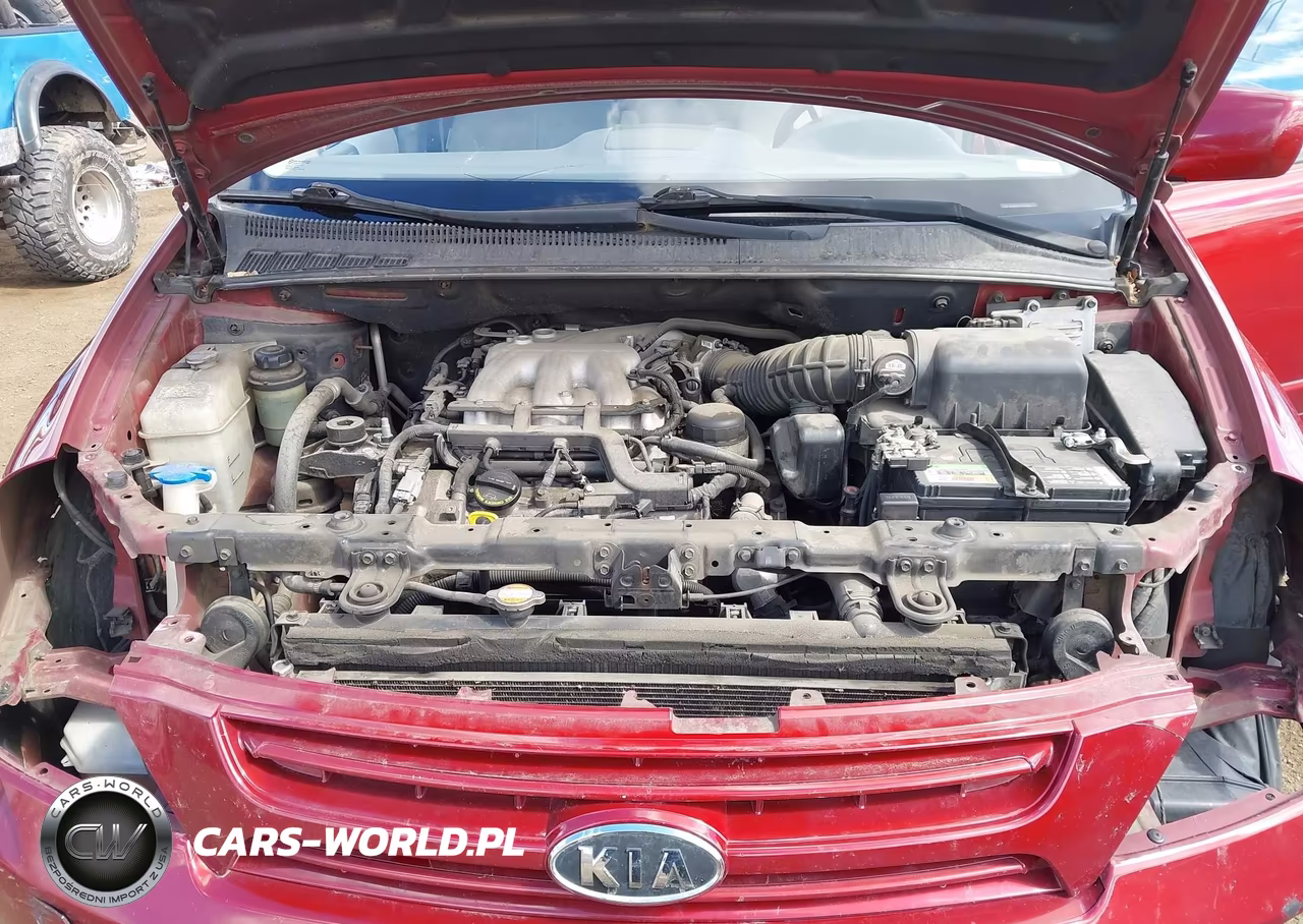2008 Kia Sedona Lx VIN:KNDMB233286265931 - 10