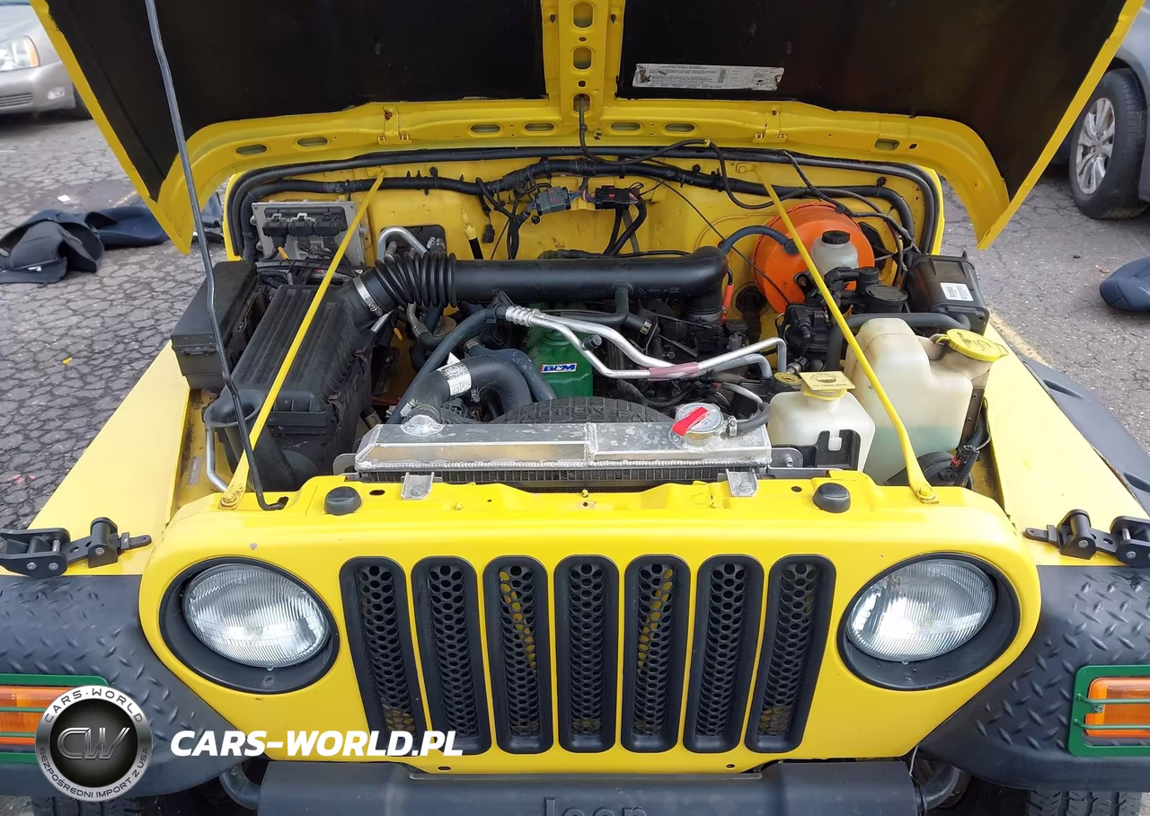 2002 Jeep Wrangler X VIN:1J4FA39S02P759457 - 10