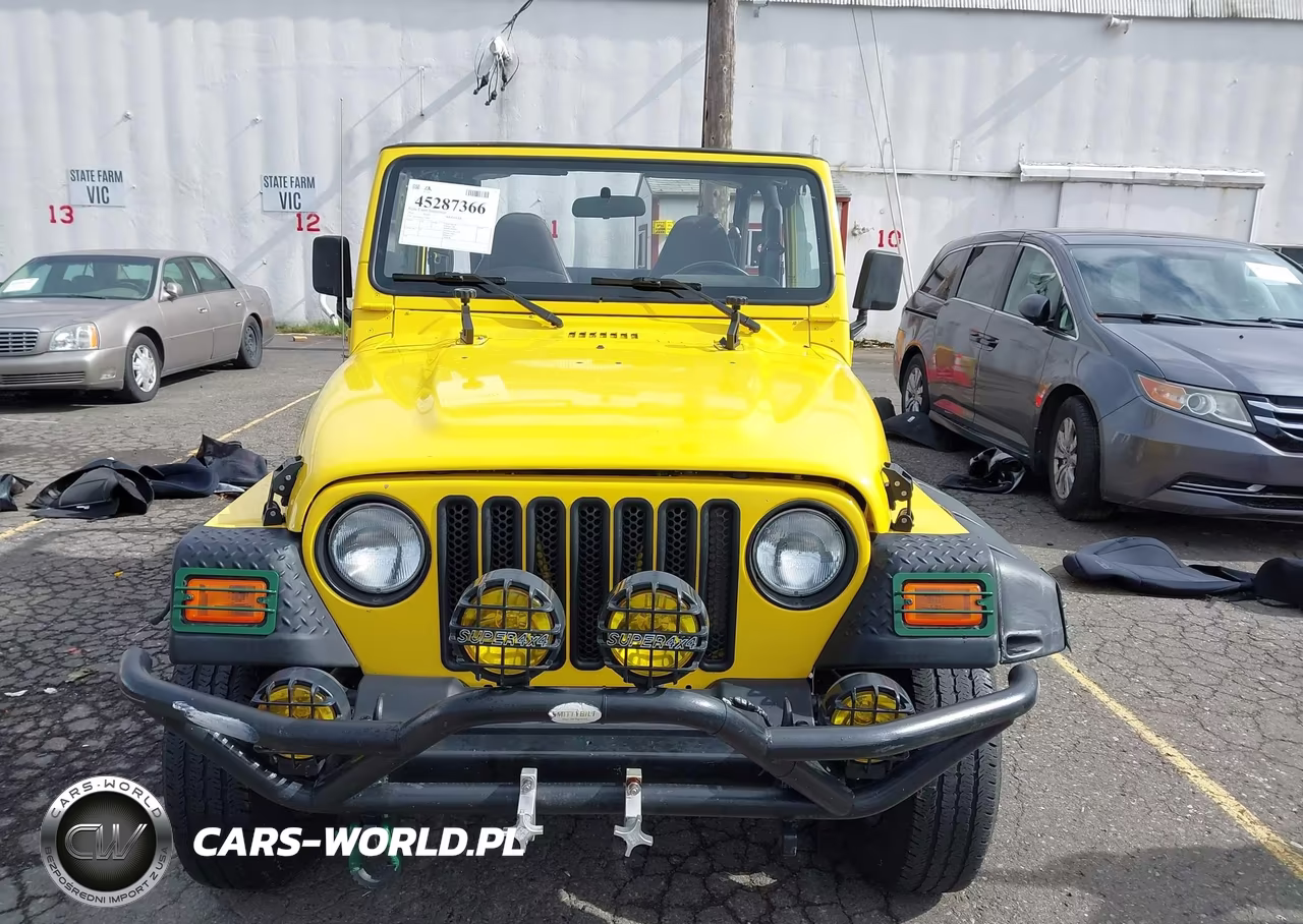 2002 Jeep Wrangler X VIN:1J4FA39S02P759457 - 13