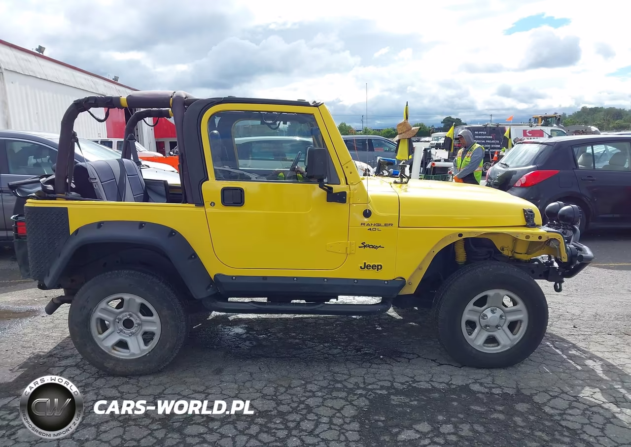 2002 Jeep Wrangler X VIN:1J4FA39S02P759457 - 14
